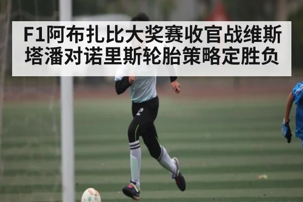 F1阿布扎比大奖赛收官战维斯塔潘对诺里斯轮胎策略定胜负